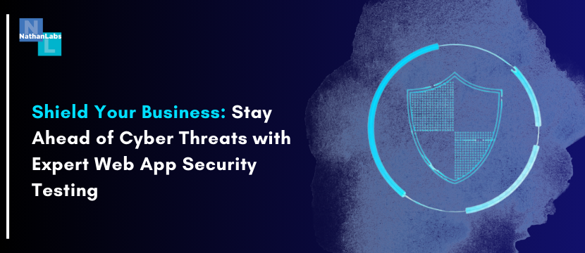How Web Application Security Testing Helps USA
